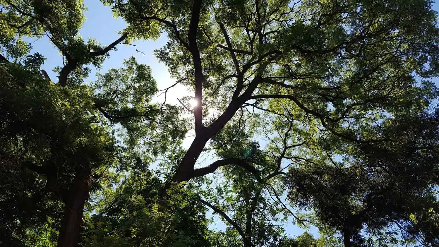 Plombier Bordeaux Métropole, basé Caudéran