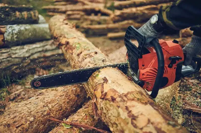 Service d'élagueur à Rodez